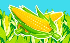 Leyenda del maíz andino